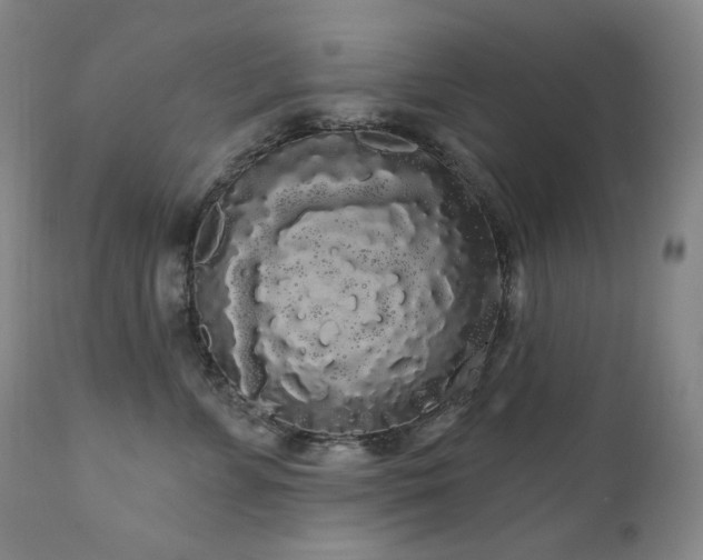 X0000111050715200906251433