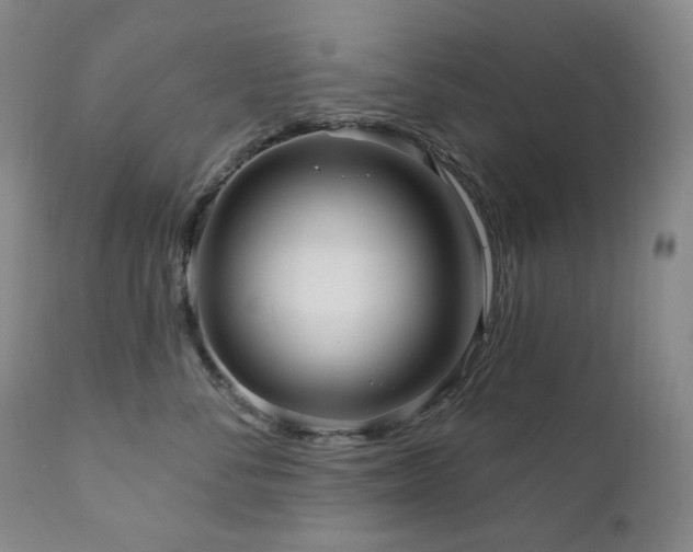 X0000111050716200906251433