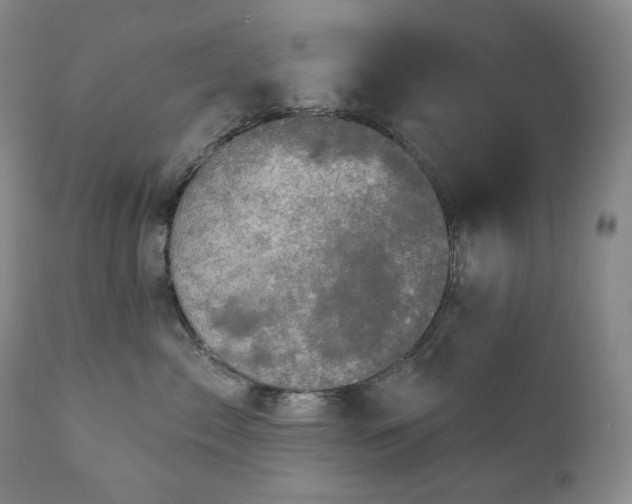 X0000111050717200906251433