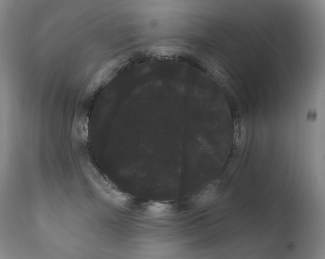 X0000111050718200906251433