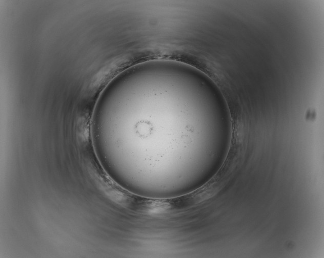 X0000111050719200906251433