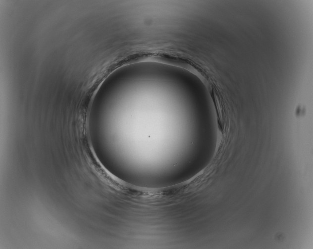 X0000111050720200906251433