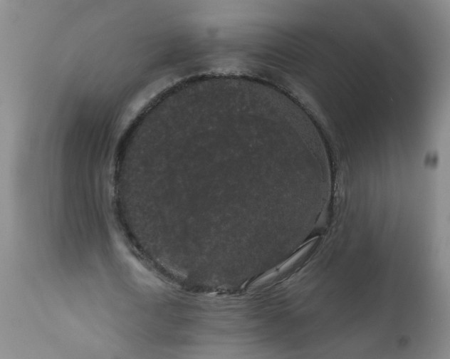 X0000111050722200906251432
