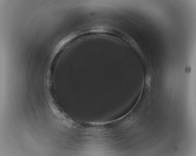 X0000111050724200906251432