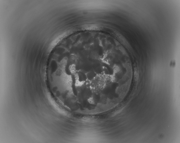 X0000111050725200906251432