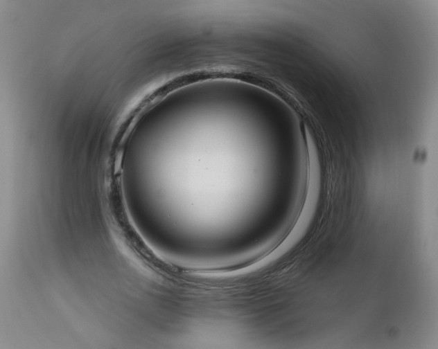 X0000111050726200906251432
