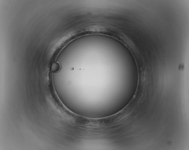 X0000111050727200906251432
