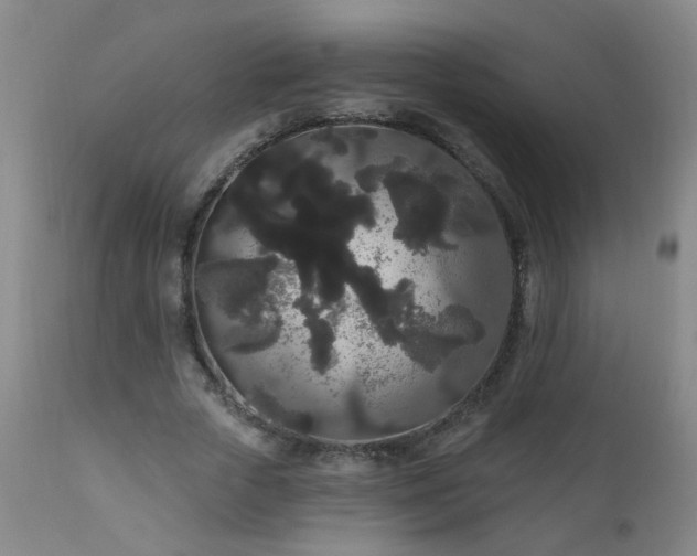 X0000111050729200906251432
