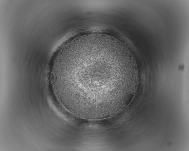 X0000111050730200906251432