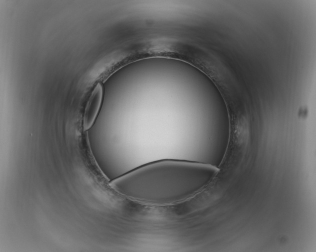 X0000111050732200906251433