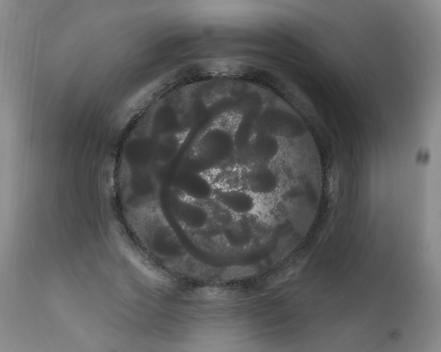 X0000111050733200906251433