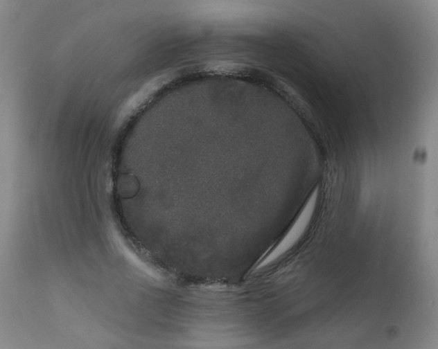 X0000111050734200906251433