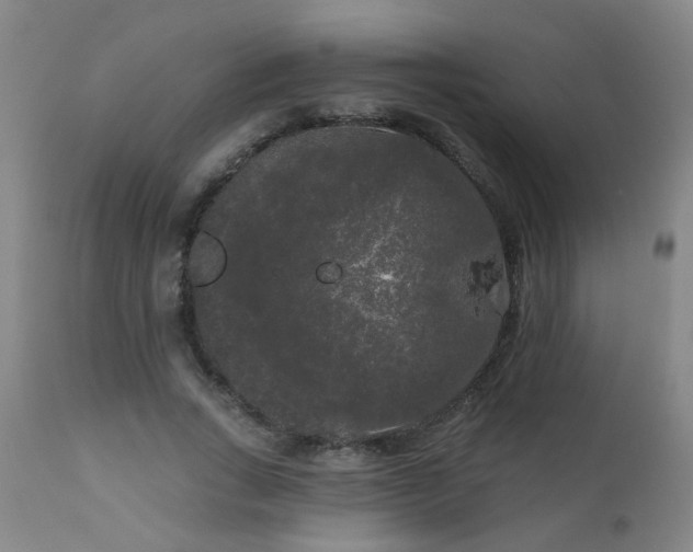 X0000111050735200906251433