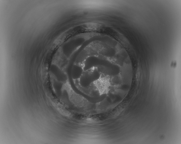 X0000111050737200906251433