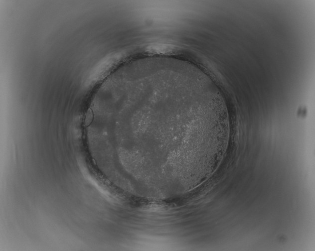 X0000111050738200906251433
