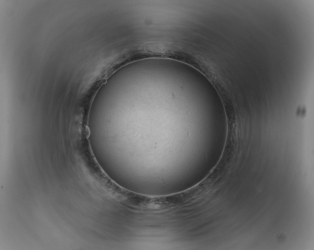X0000111050739200906251433