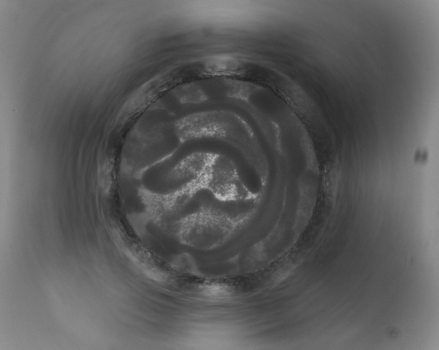 X0000111050741200906251433