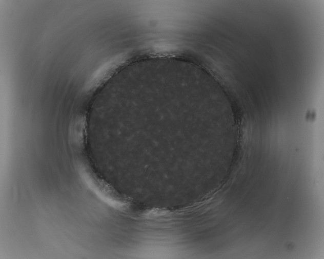 X0000111050742200906251433