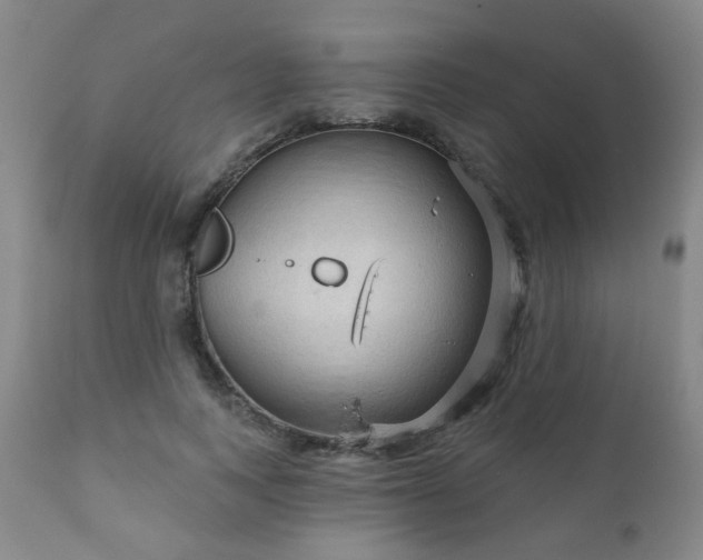 X0000111050743200906251433