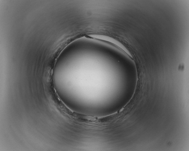X0000111050744200906251433