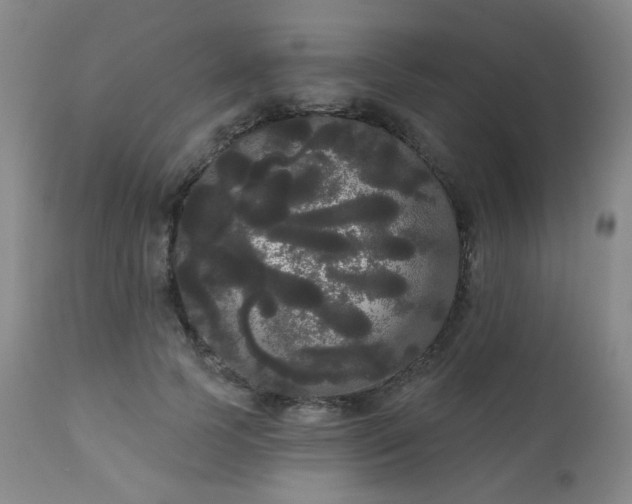X0000111050745200906251433