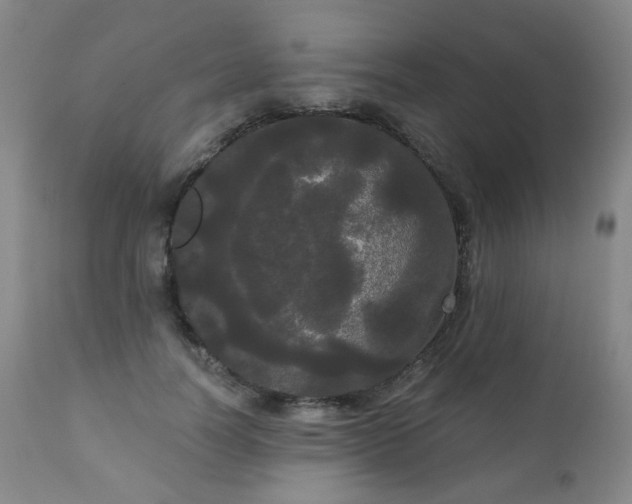 X0000111050746200906251433