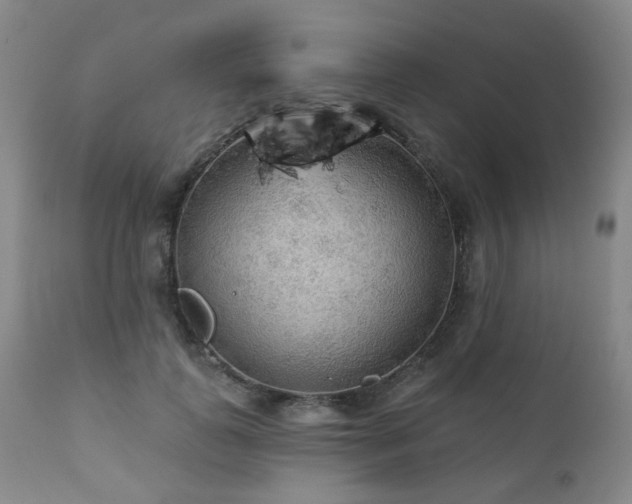 X0000111050747200906251433