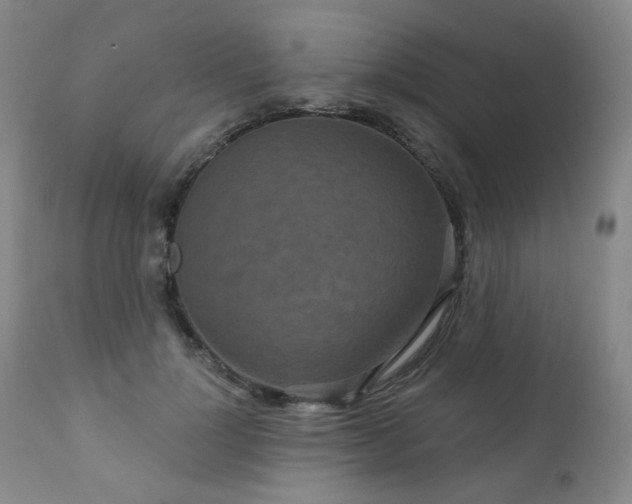 X0000111050748200906251433