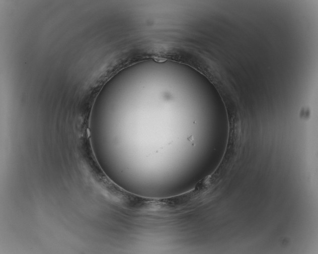 X0000111050750200906251433