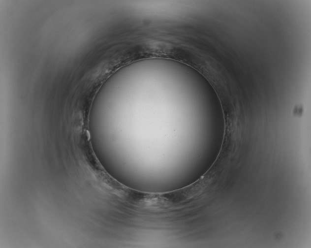 X0000111050752200906251433