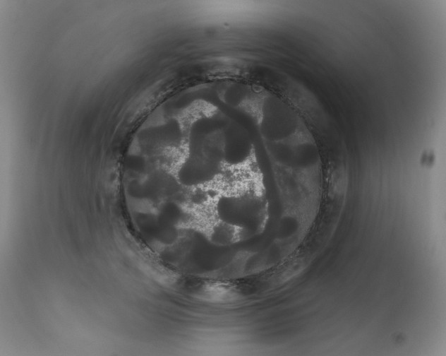 X0000111050753200906251433