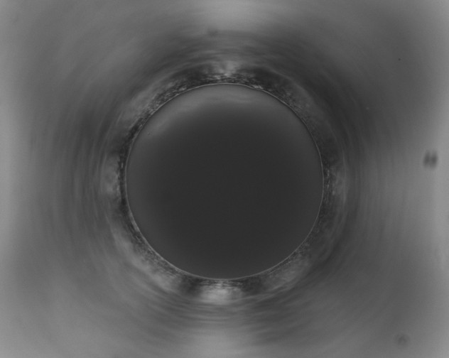 X0000111050754200906251433