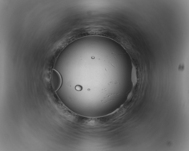 X0000111050755200906251433