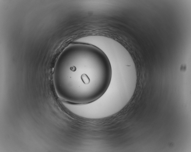 X0000111050756200906251433