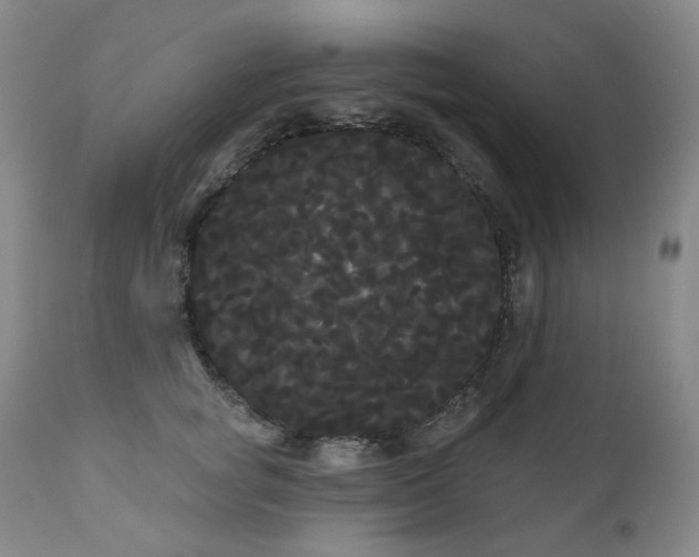 X0000111050757200906251433