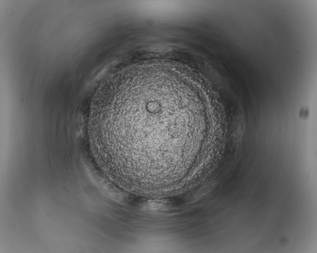 X0000111050758200906251433