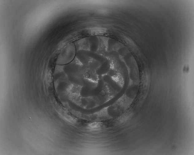 X0000111050761200906251433
