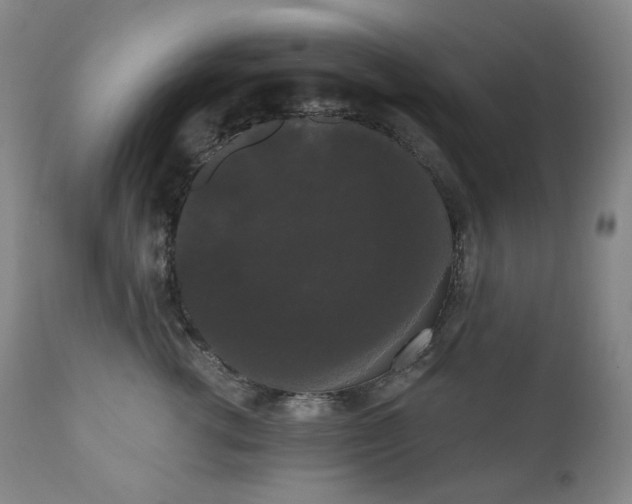 X0000111050762200906251433