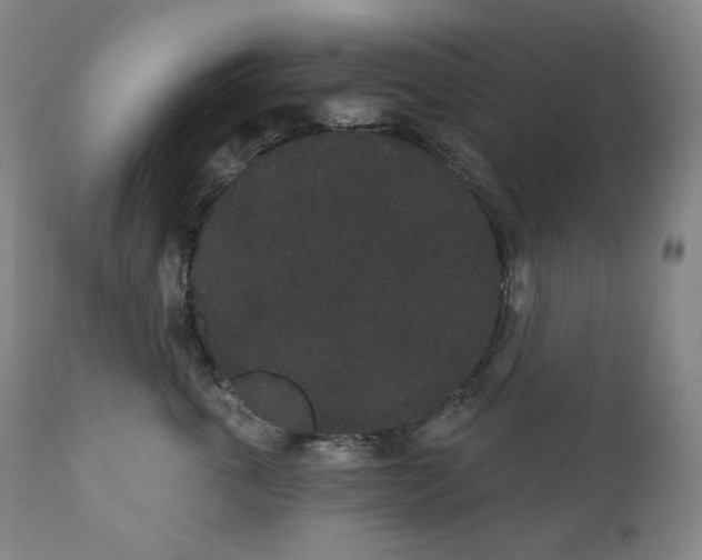 X0000111050763200906251433