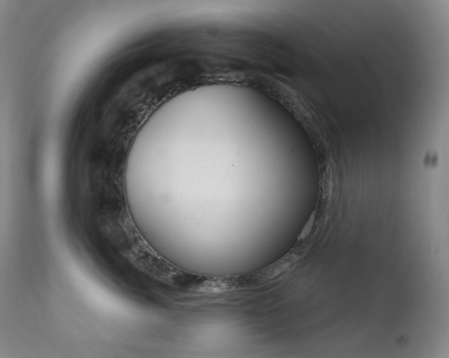 X0000111050764200906251433