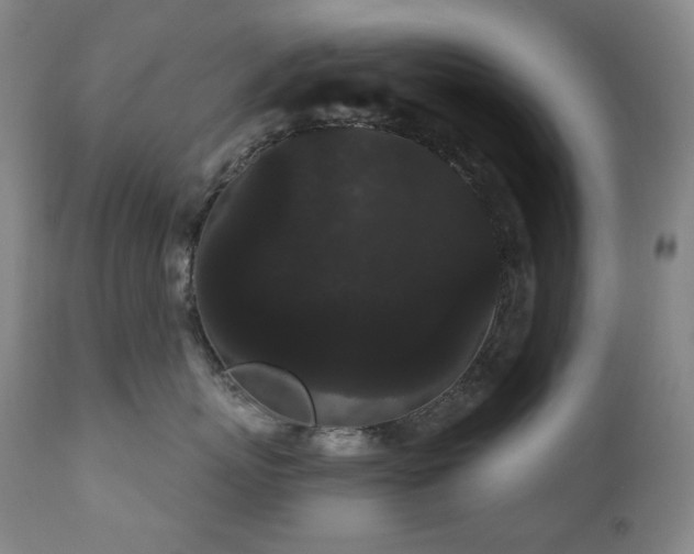 X0000111050767200906251433