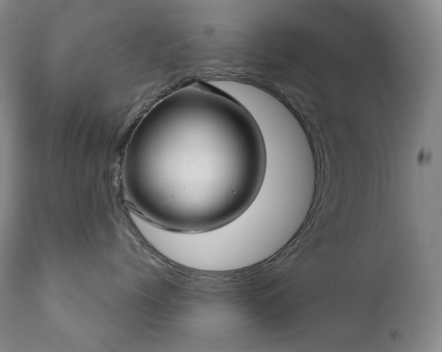 X0000111050768200906251433
