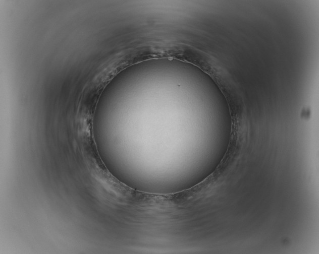 X0000111050770200906251432