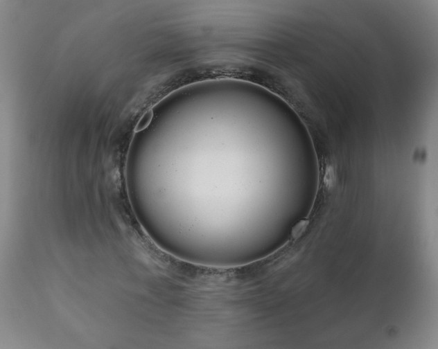 X0000111050771200906251432