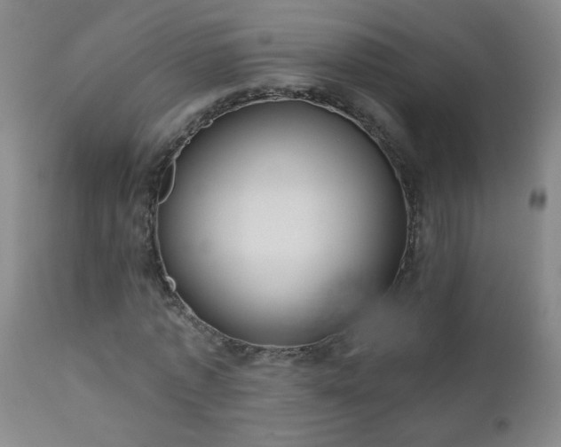 X0000111050773200906251432