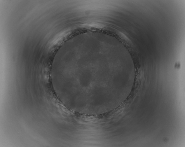 X0000111050774200906251432