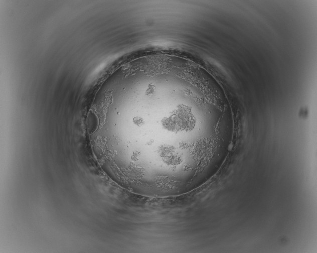 X0000111050776200906251432