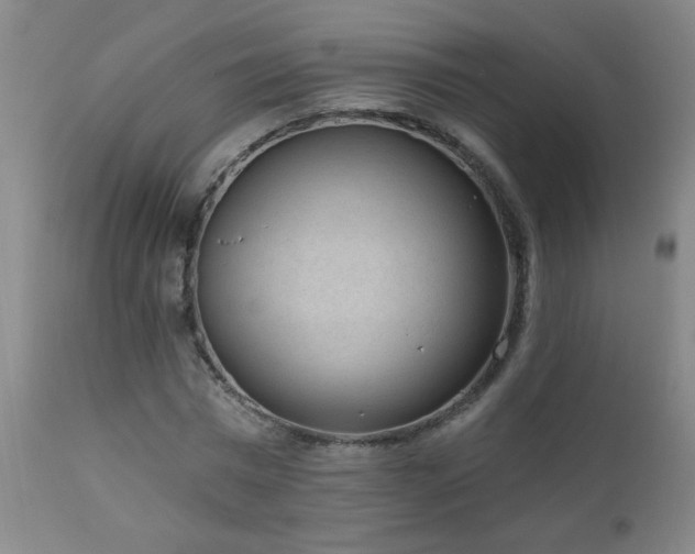 X0000111050777200906251432