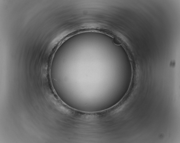 X0000111050778200906251432