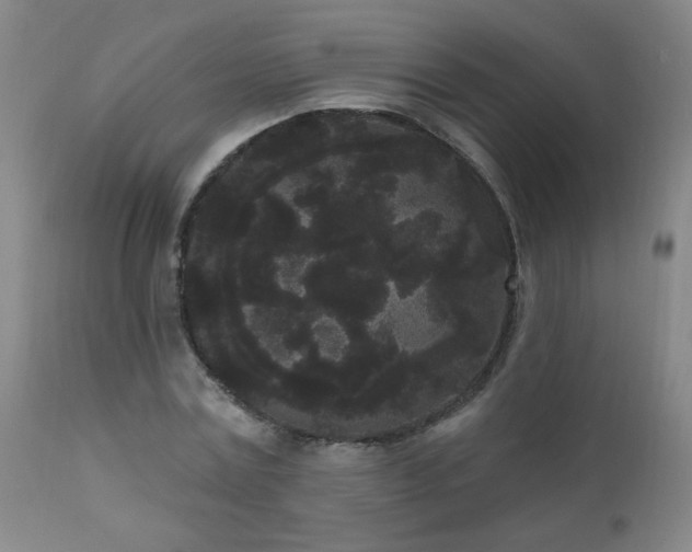 X0000111050779200906251432